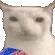 NL_catcips