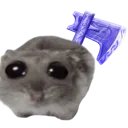 paliaaxe