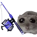 paliafishing