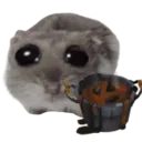 paliacook