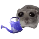 paliawateringcan