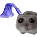 paliahoe