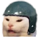 WutCat