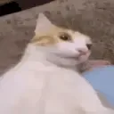 holyFuckingshit