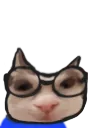 nermgi