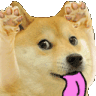 AUI_DogBlehhhh animated emote | Talk Pakistan