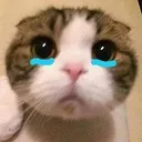 Cry
