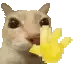 hi_hiiii_haiii