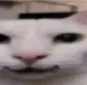 stretchreaction