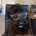 SmartMaggie SmartMaggie
