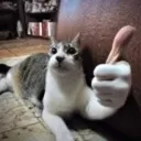 thumbup