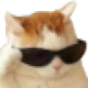 CoolCat