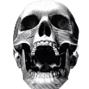skull_tuff