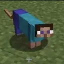 steve_car_meow