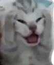 aaaaa
