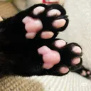 patitas
