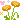 02_orangeflowers