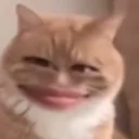 boink