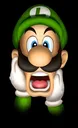 luigiscream