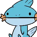 mudkipstare