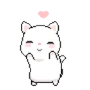 love_cat