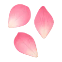 misspinkpetals
