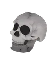 skull