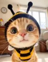 catbee
