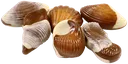 61139belgiumseafoodchocolate