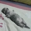 chilling chilling