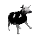 cow