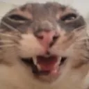 rigbysqueee