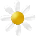 flower flower