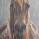 5_SadHorse