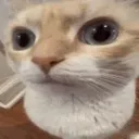 uhhh