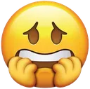 ek_facecared