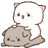 8catjump