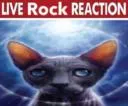 liverockreaction
