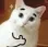cat_cool