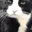 cat_lick