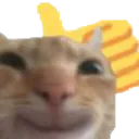 catthumbsup