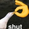 duckshut