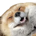 happyfox