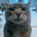 ozgito ozgito