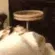 CatBite CatBite