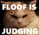 FloofIsJudging