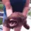 040bark