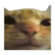 catbot