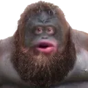 monke_neckbeard monke_neckbeard