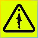 dogfish